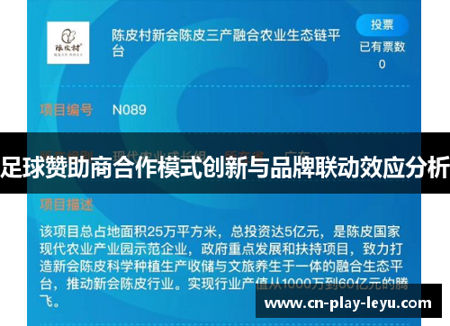 足球赞助商合作模式创新与品牌联动效应分析