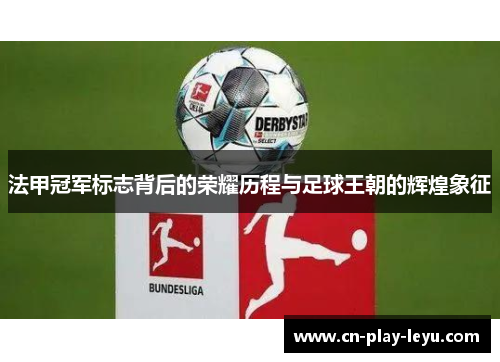 法甲冠军标志背后的荣耀历程与足球王朝的辉煌象征