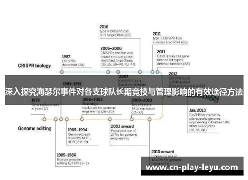 深入探究海瑟尔事件对各支球队长期竞技与管理影响的有效途径方法