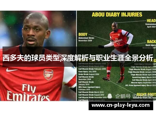 西多夫的球员类型深度解析与职业生涯全景分析